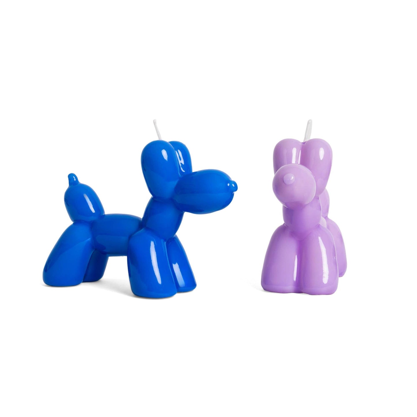 Chien Ballon - Violet