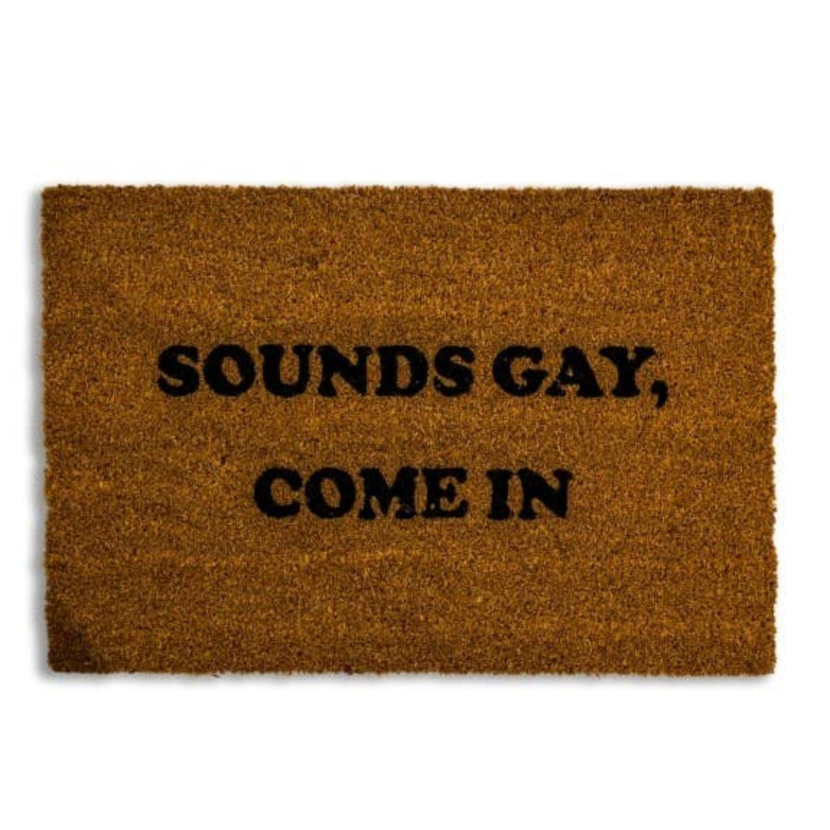 Paillasson Sounds Gay, Come In
