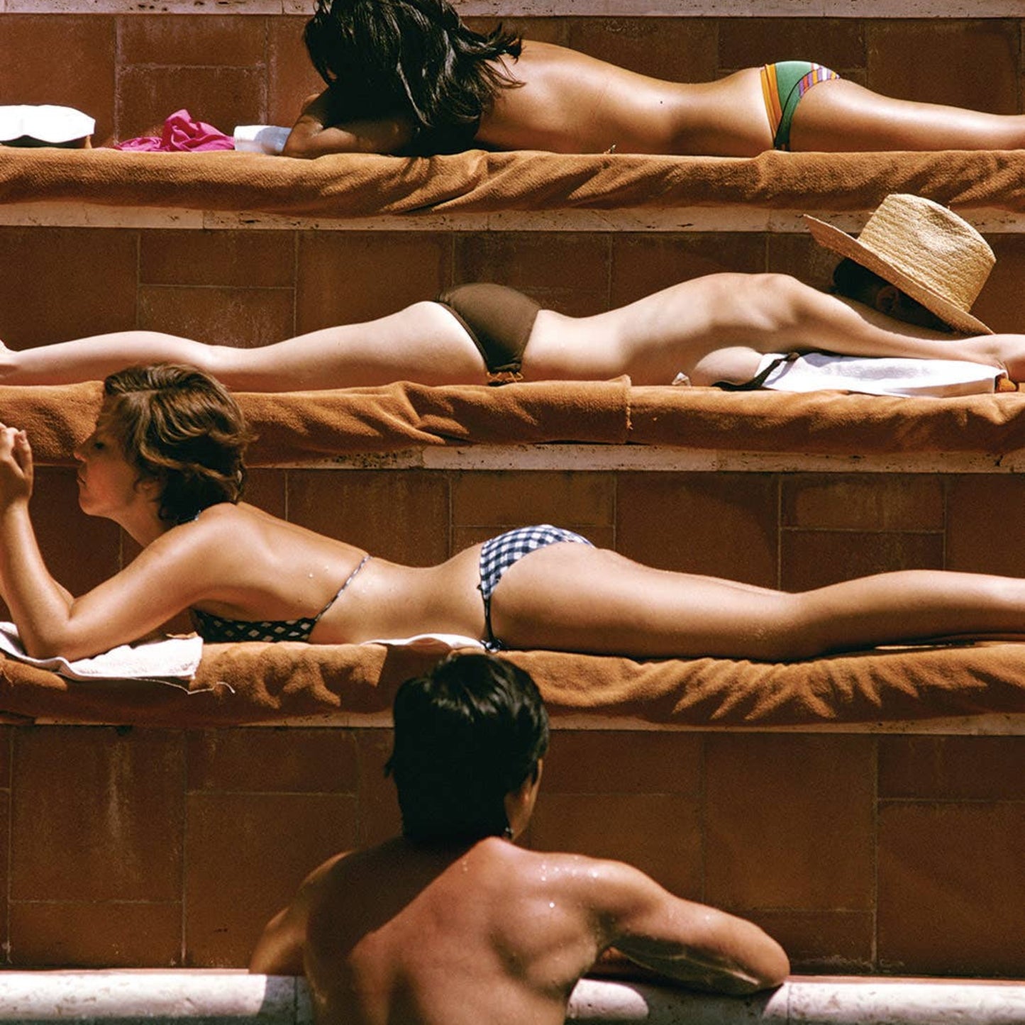 Sun Basking - Puzzle de 1000 pièces