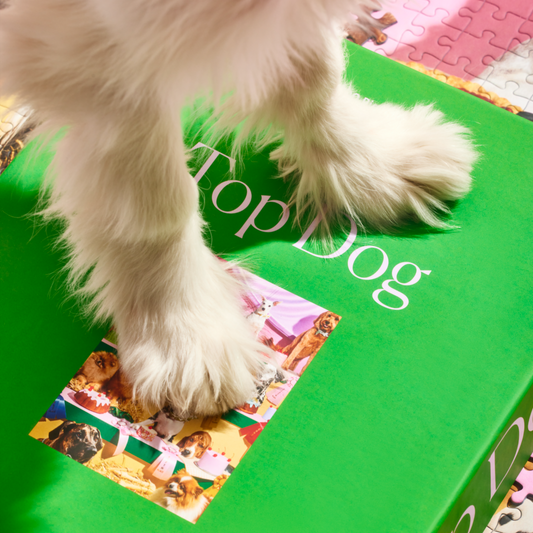 Top Dog - Puzzle de 1000 pièces