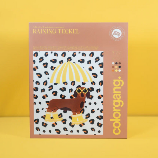 Peinture au numéro - Raining Teckel