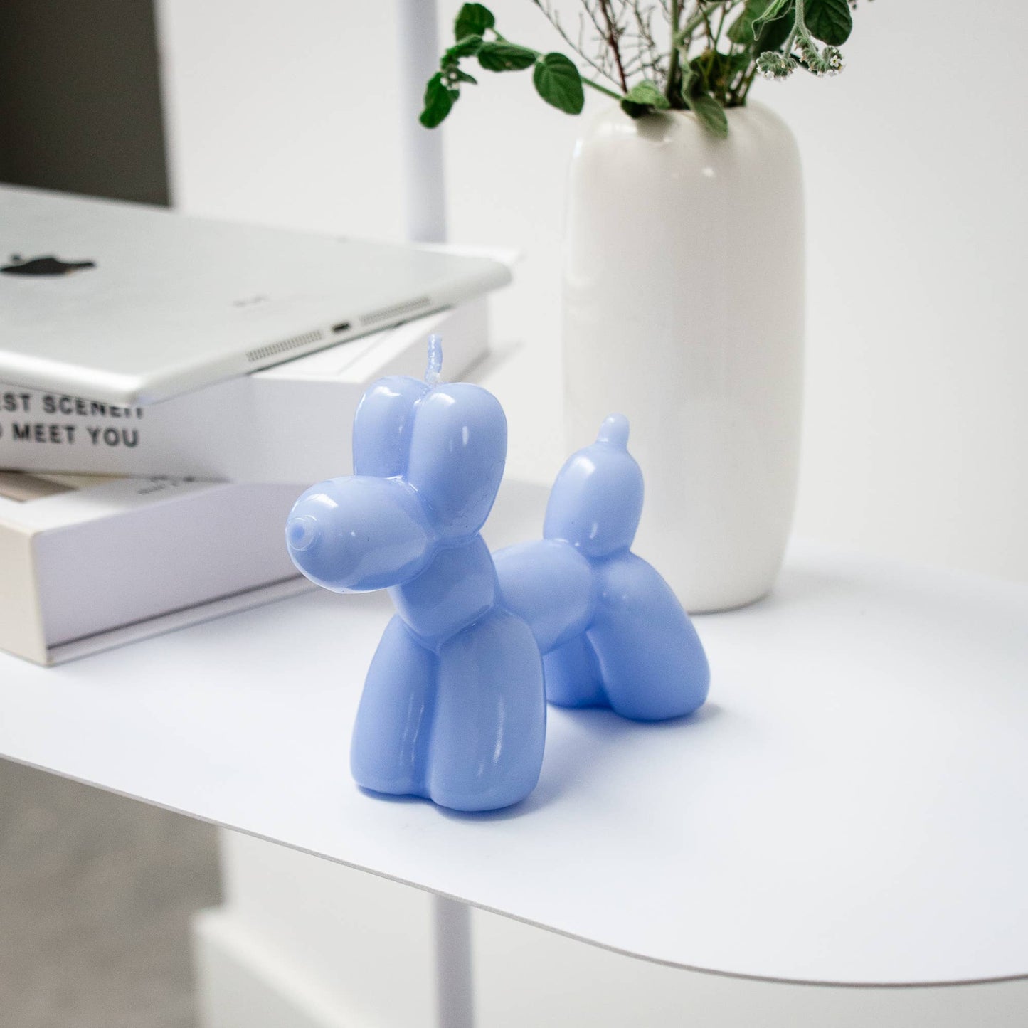 Chien Ballon - Bleu